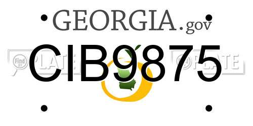 CIB9875 Georgia License Plate