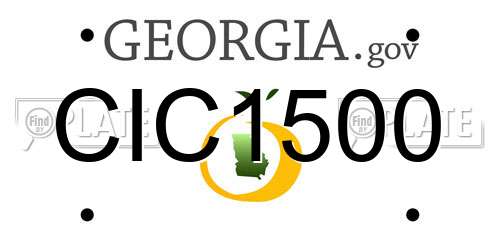 CIC1500 Georgia License Plate