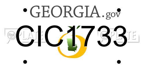 CIC1733 Georgia License Plate