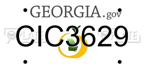 CIC3629 Georgia License Plate