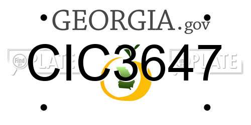 CIC3647 Georgia License Plate
