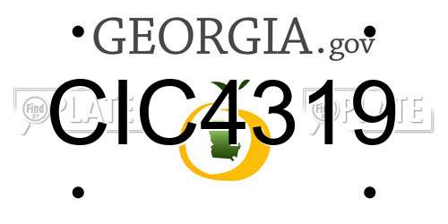CIC4319 Georgia License Plate