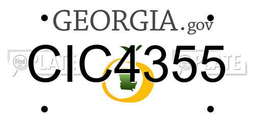 CIC4355 Georgia License Plate