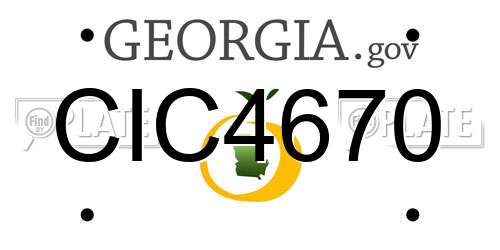 CIC4670 Georgia License Plate
