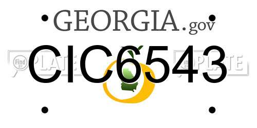 CIC6543 Georgia License Plate