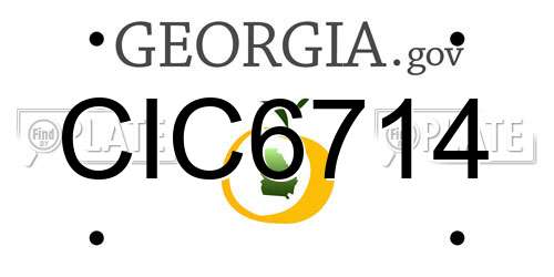 CIC6714 Georgia License Plate