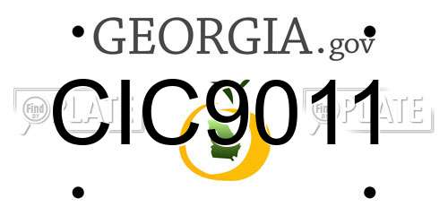 CIC9011 Georgia License Plate