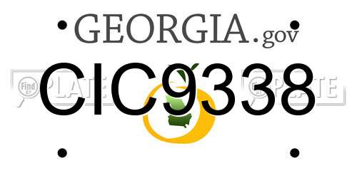 CIC9338 Georgia License Plate