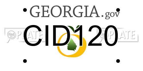 CID120 Georgia License Plate