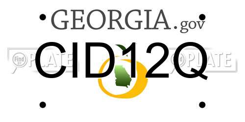 CID12Q Georgia License Plate