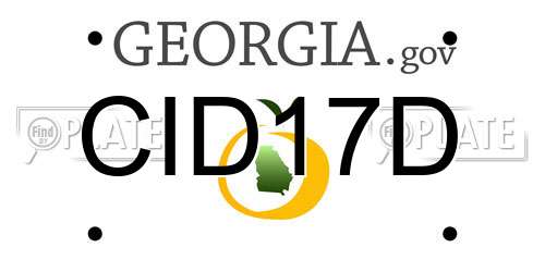 CID17D Georgia License Plate