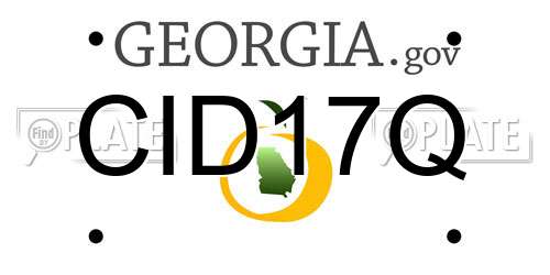 CID17Q Georgia License Plate