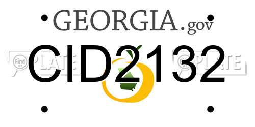 CID2132 Georgia License Plate