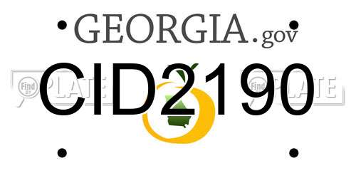 CID2190 Georgia License Plate