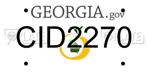 CID2270 Georgia License Plate
