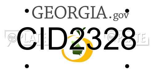 CID2328 Georgia License Plate