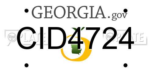 CID4724 Georgia License Plate