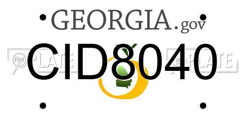 CID8040 Georgia License Plate