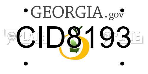 CID8193 Georgia License Plate