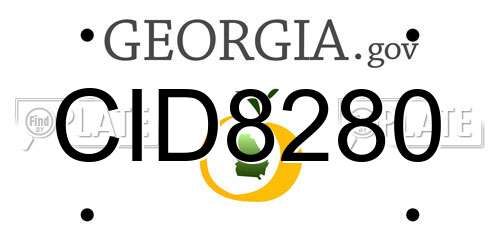 CID8280 Georgia License Plate