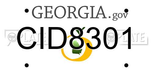 CID8301 Georgia License Plate