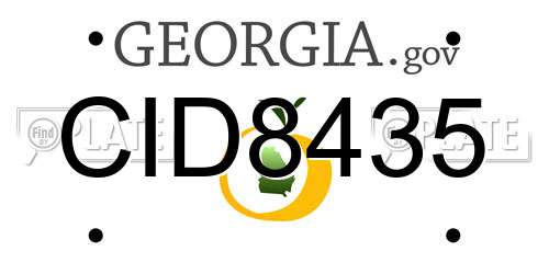 CID8435 Georgia License Plate