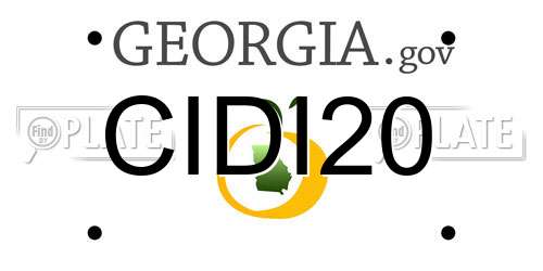 CIDI20 Georgia License Plate