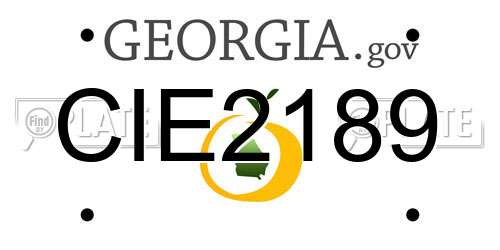 CIE2189 Georgia License Plate
