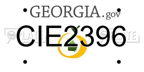 CIE2396 Georgia License Plate