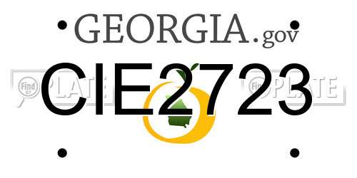 CIE2723 Georgia License Plate