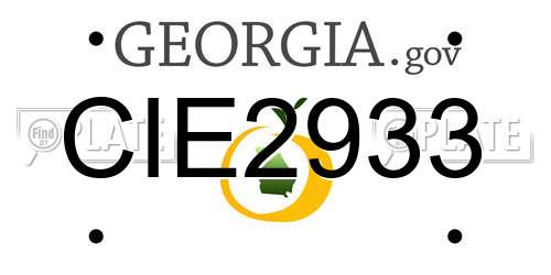 CIE2933 Georgia License Plate