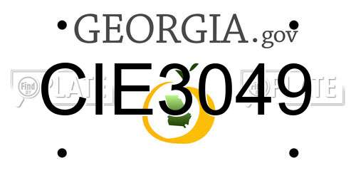 CIE3049 Georgia License Plate