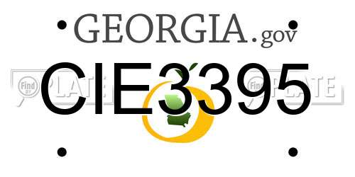 CIE3395 Georgia License Plate