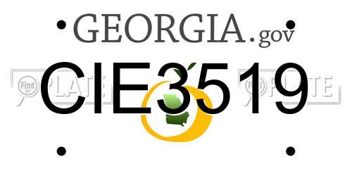 CIE3519 Georgia License Plate
