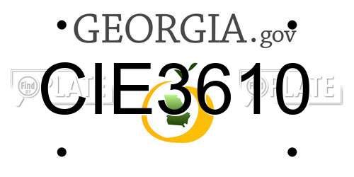 CIE3610 Georgia License Plate