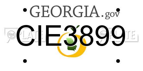 CIE3899 Georgia License Plate
