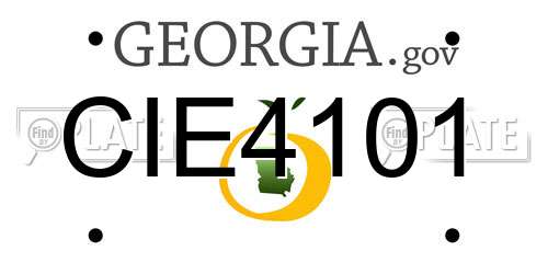 CIE4101 Georgia License Plate