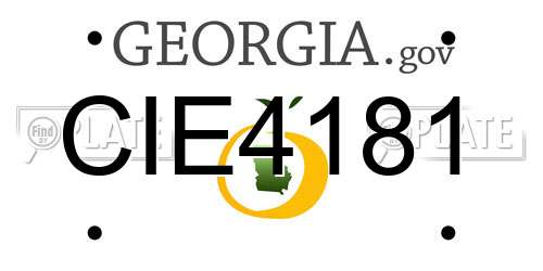 CIE4181 Georgia License Plate