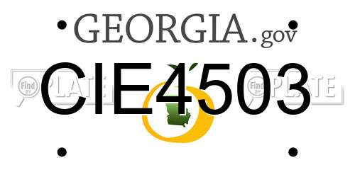 CIE4503 Georgia License Plate