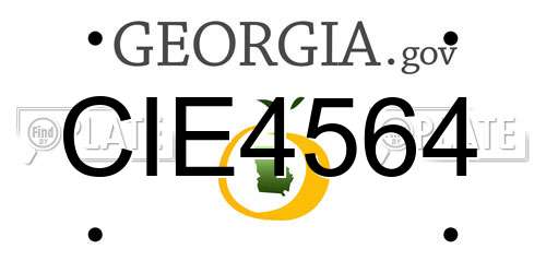 CIE4564 Georgia License Plate