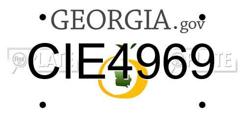 CIE4969 Georgia License Plate