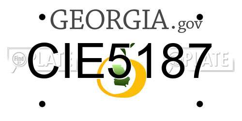 CIE5187 Georgia License Plate
