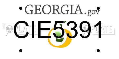 CIE5391 Georgia License Plate