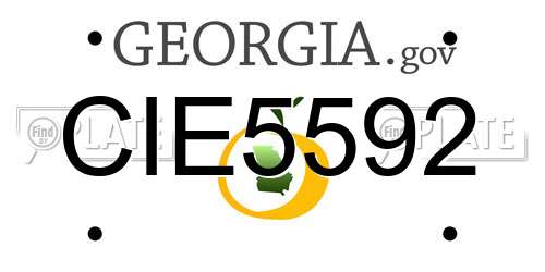 CIE5592 Georgia License Plate