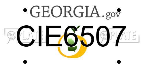CIE6507 Georgia License Plate