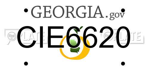 CIE6620 Georgia License Plate