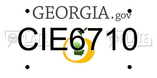 CIE6710 Georgia License Plate