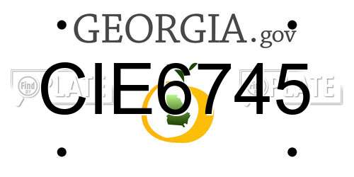 CIE6745 Georgia License Plate