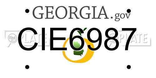 CIE6987 Georgia License Plate