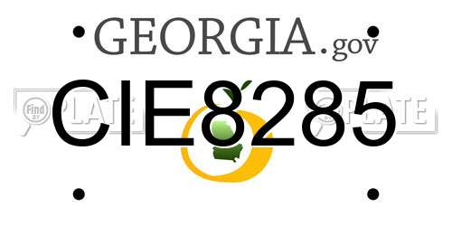 CIE8285 Georgia License Plate